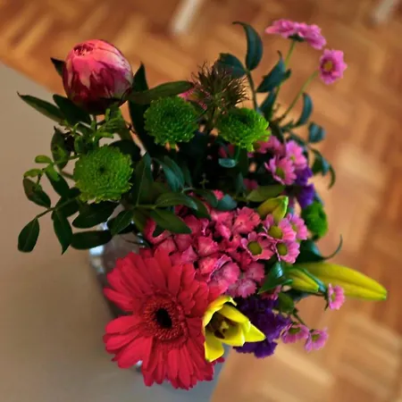 Appartementhaus Regina Am Appartement *